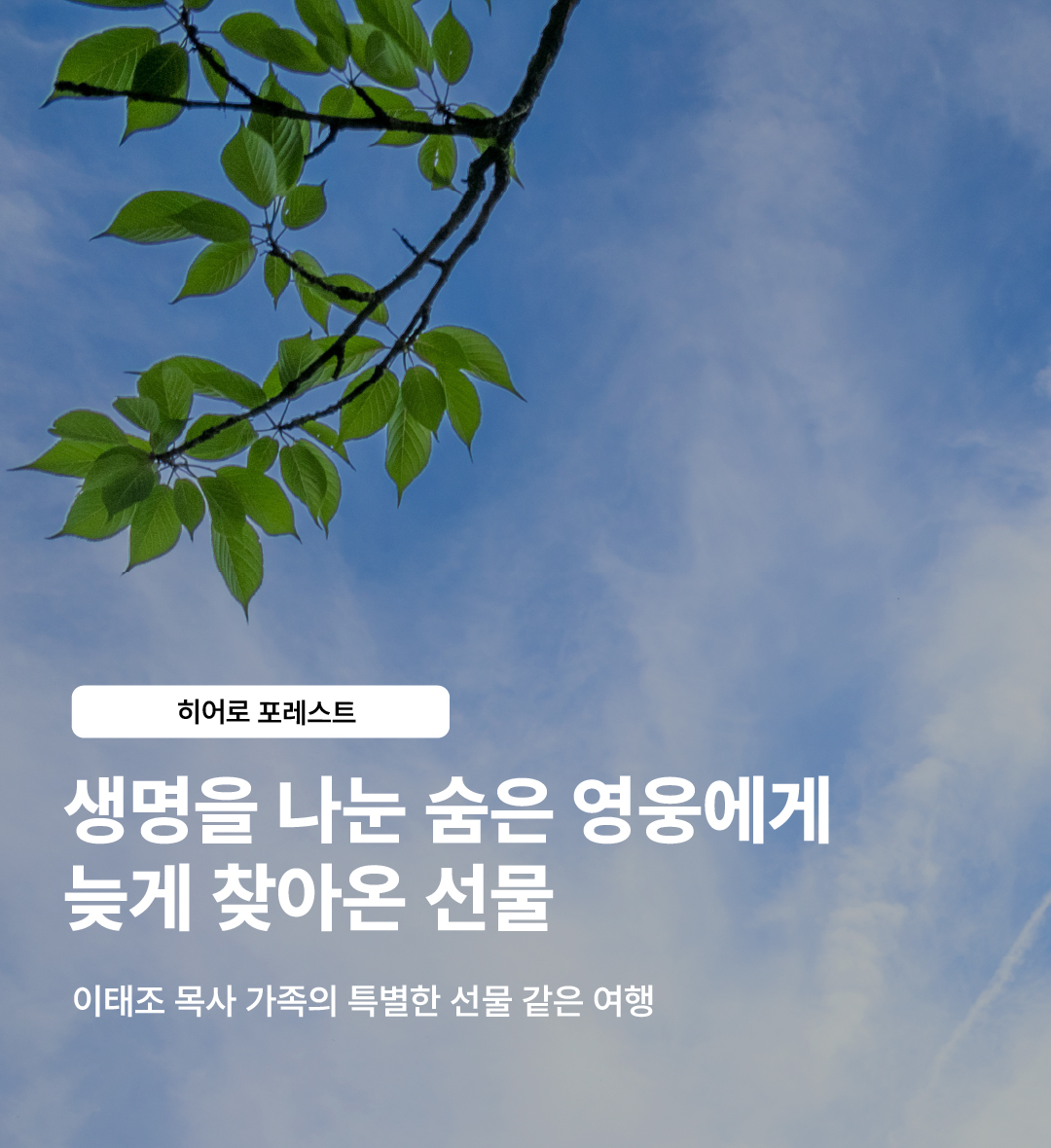히어로포레스트 - 이태조 목사